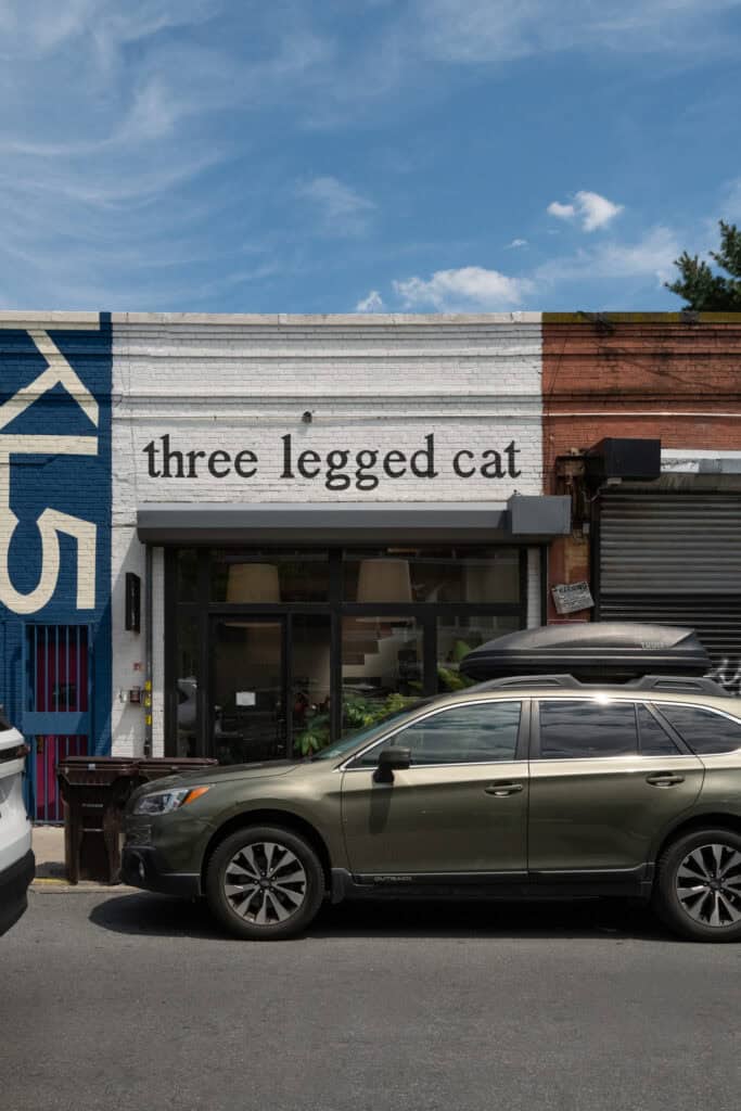 Three Legged Cat